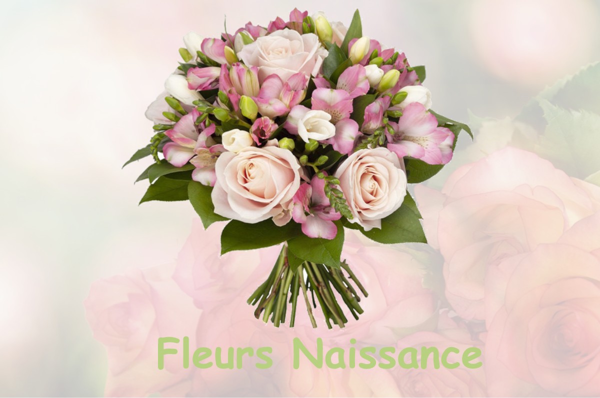 fleurs naissance GERCOURT-ET-DRILLANCOURT