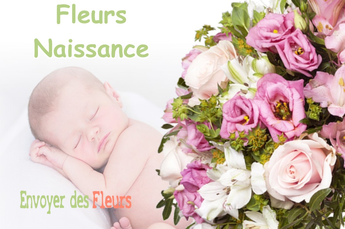 lIVRAISON FLEURS NAISSANCE à GERCOURT-ET-DRILLANCOURT